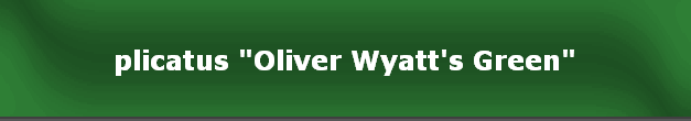 plicatus "Oliver Wyatt's Green"