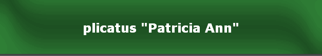 plicatus "Patricia Ann"