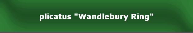 plicatus "Wandlebury Ring"