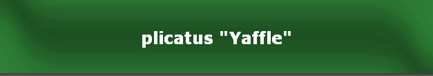 plicatus "Yaffle"
