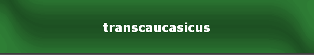 transcaucasicus