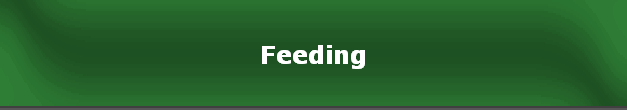 Feeding