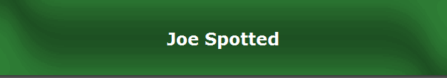 Joe Spotted