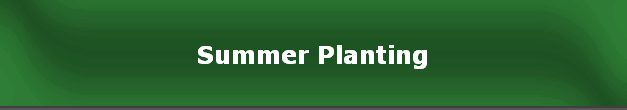 Summer Planting