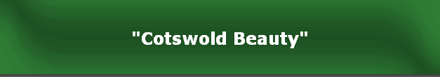 "Cotswold Beauty"