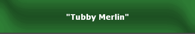 "Tubby Merlin"