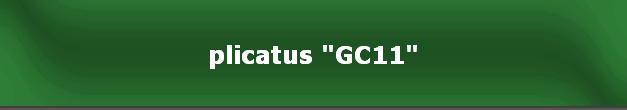 plicatus "GC11"