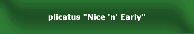 plicatus "Nice 'n' Early"